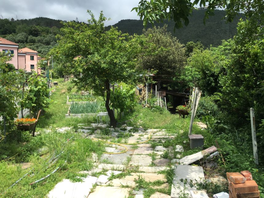 Appartamento con terreno in vendita a Cogoleto. Una vista del terreno.