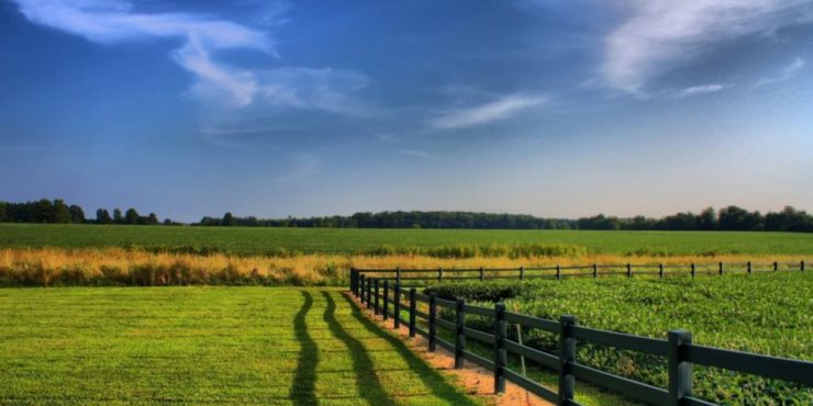 Compravendita di un terreno agricolo e diritto di prelazione