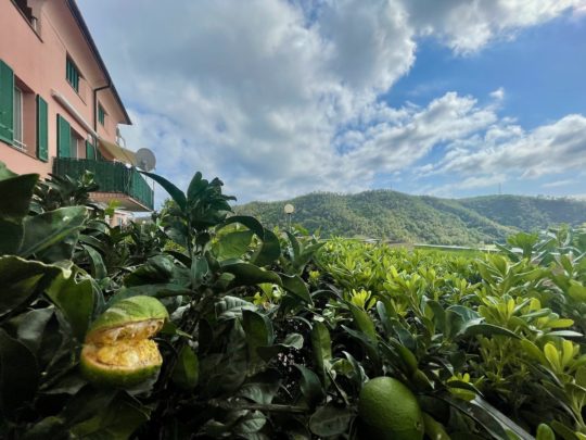 Un bilocale con giardino a Cogoleto. La casa tra mare e monti.