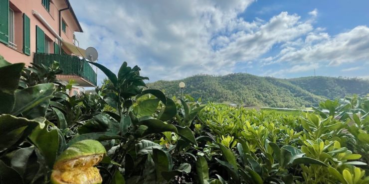 Un bilocale con giardino a Cogoleto, la casa tra mare e monti